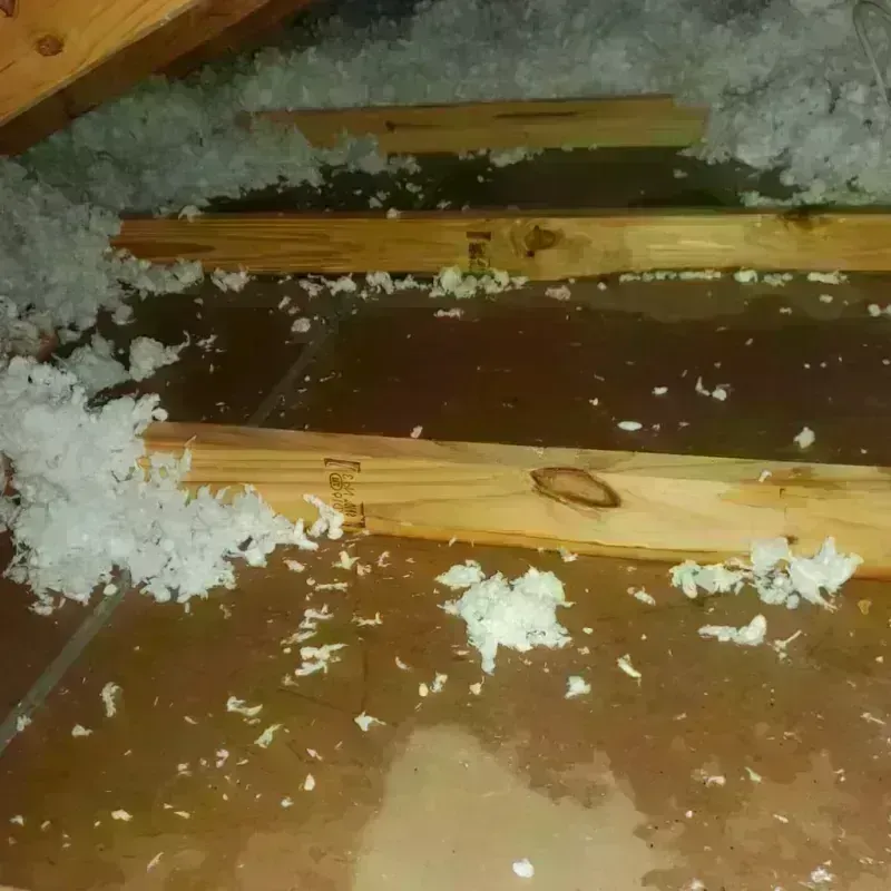 Attic Water Damage in Coldwater, OH