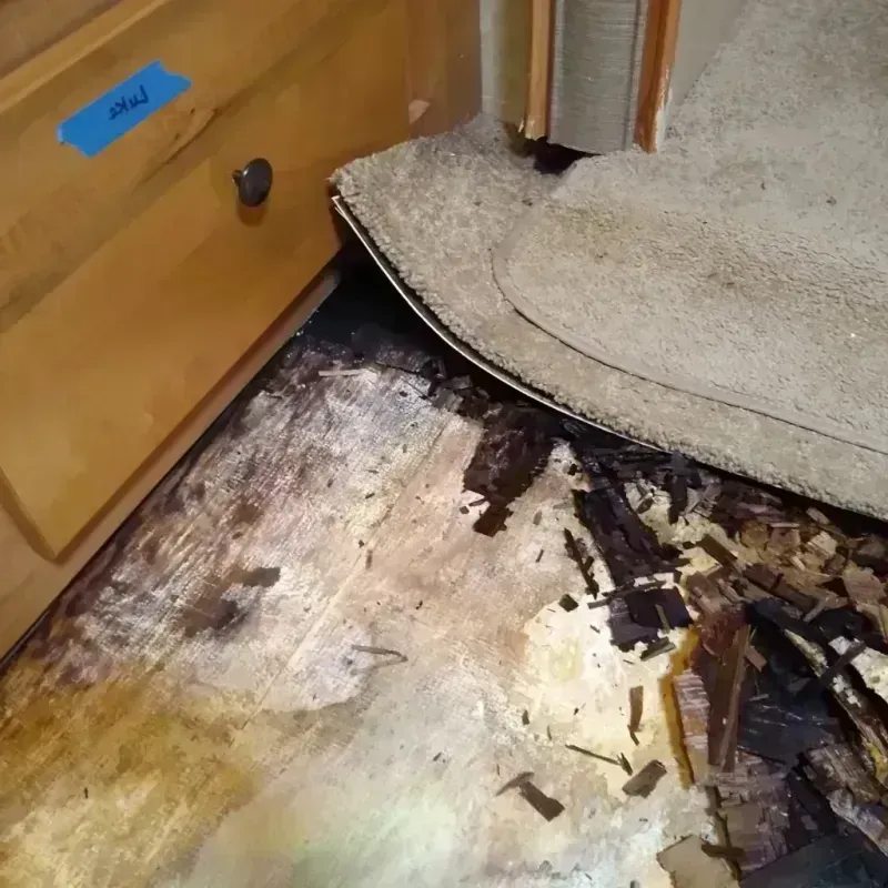 Wood Floor Water Damage in Coldwater, OH